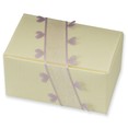 Ivory Favour Boxes